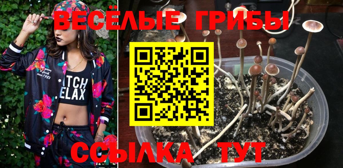 Галлюциногенные грибы GOLDEN TEACHER Кумертау
