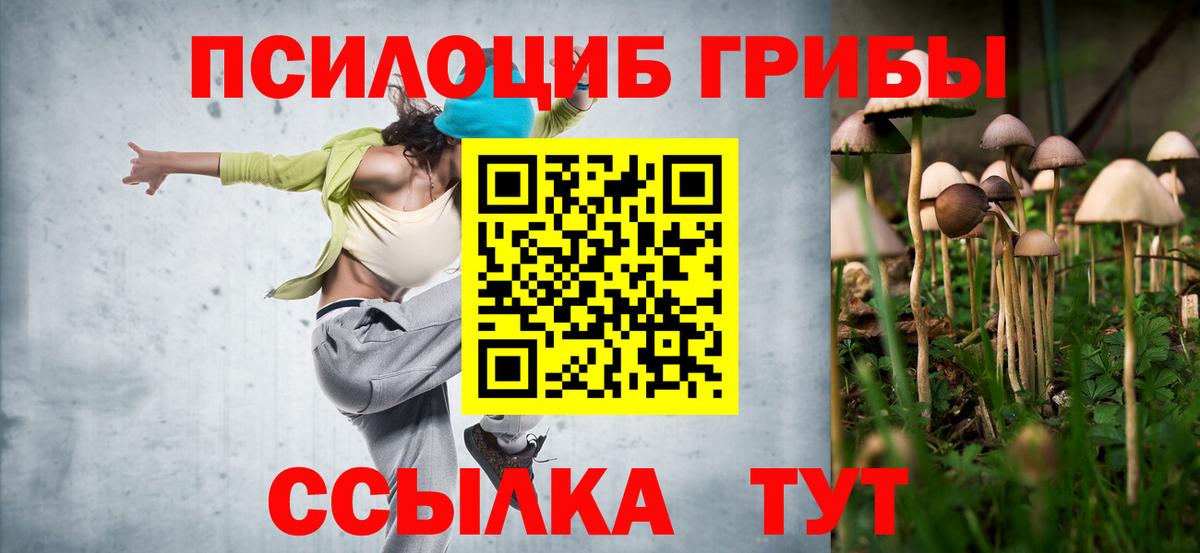 где купить наркоту  Псилоцибиновые грибы ЛСД  Кумертау  Галлюциногенные грибы Psilocybe 