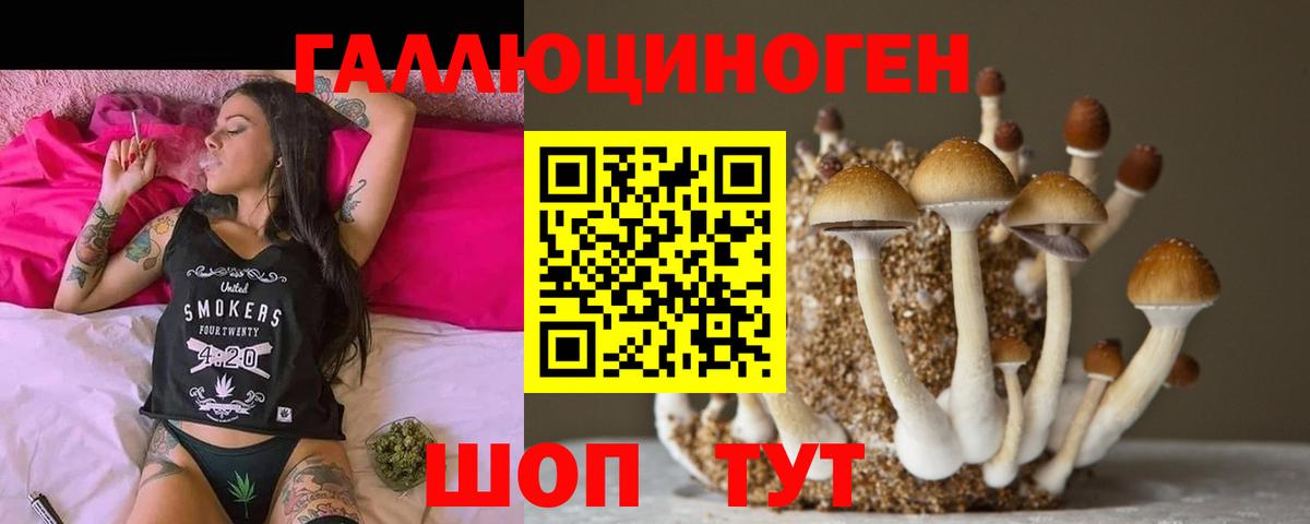 Галлюциногенные грибы Psilocybe  купить наркотик  Кумертау  Галлюциногенные грибы прущие грибы  Вход с VPN 